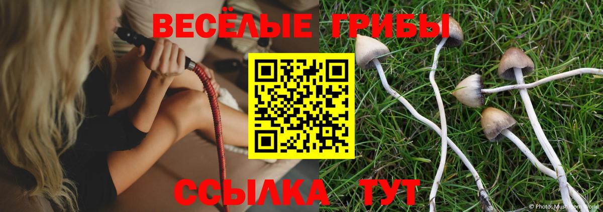 Псилоцибиновые грибы ЛСД  Вход с VPN  как найти закладки  Долгопрудный 
